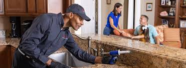 Real Estate Pest Inspections in Brooklyn, IA